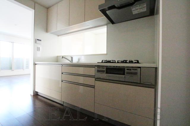 Kitchen. Indoor (11 May 2013) Shooting D Building