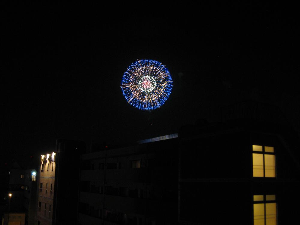 Other. You can also view a fireworks in the summer.