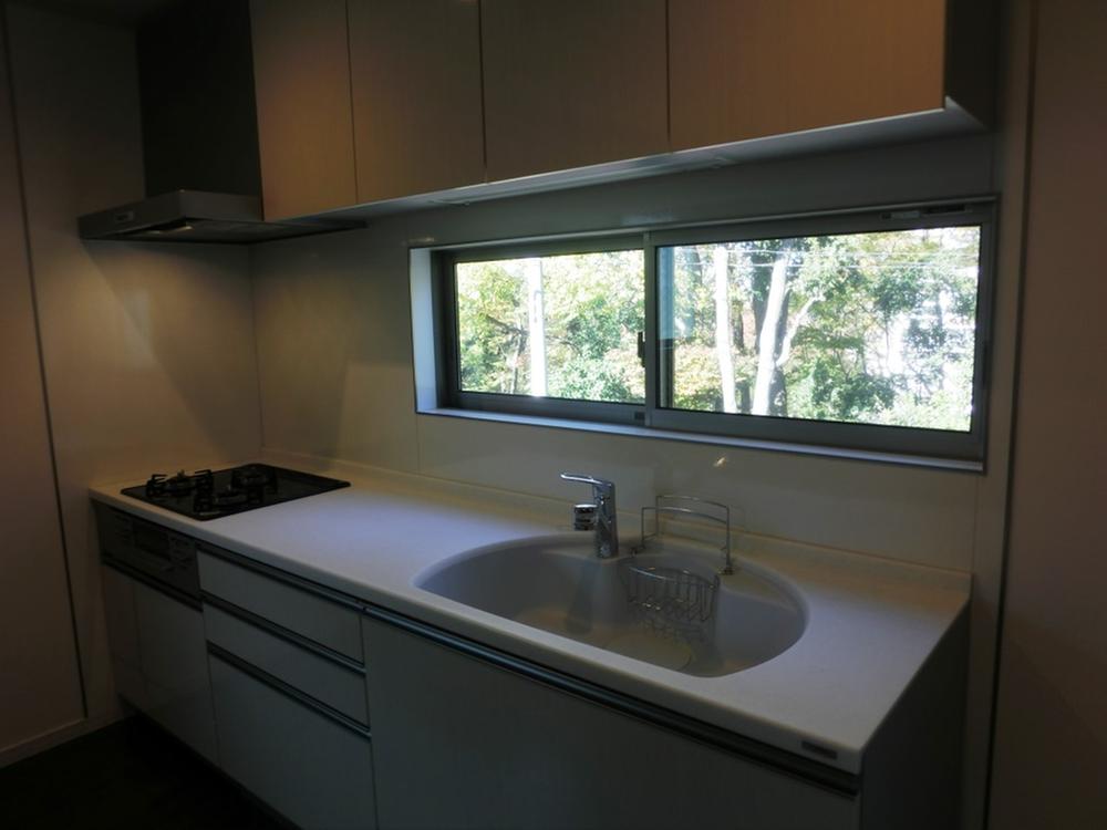 Kitchen. Indoor (11 May 2013) Shooting