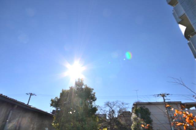 View. The photograph is an image for during renovation. (203, Room photo)