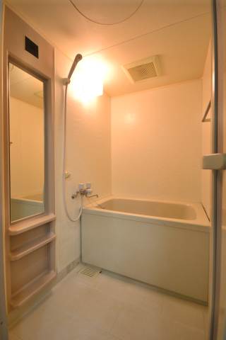 Bath. The photograph is an image for during renovation. (203, Room photo)