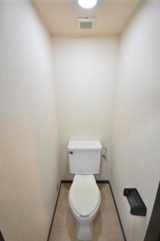 Toilet. The photograph is an image for during renovation. (203, Room photo)
