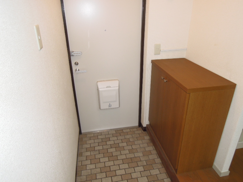 Entrance. Shoes with BOX