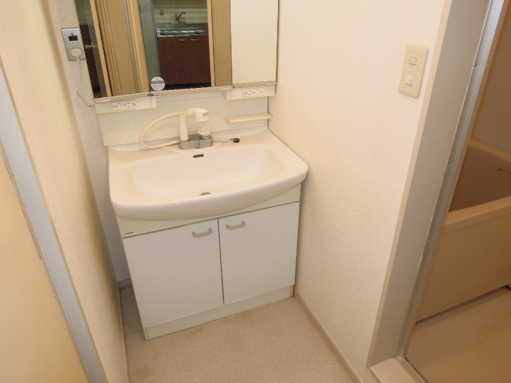 Washroom. Shampoo with Dresser