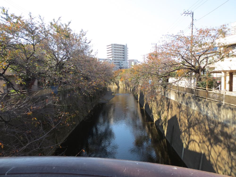 Other local. Shakujii about 10m from the local. (November 2013) Shooting