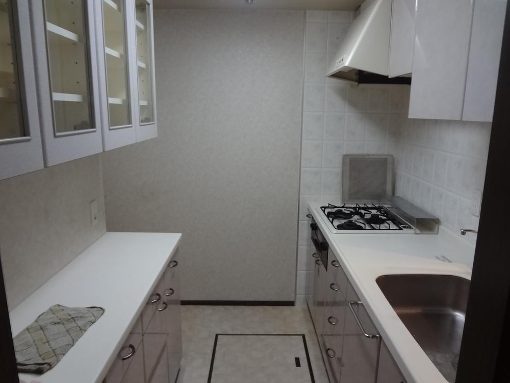 Kitchen. Indoor (June 2013) Shooting