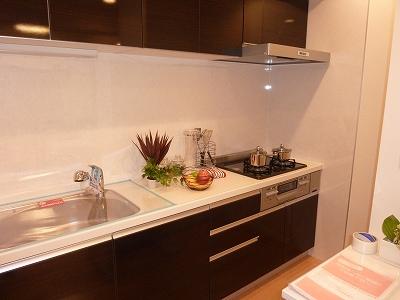 Kitchen. Indoor (12 May 2013) Shooting