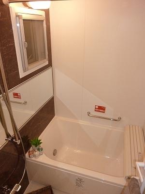 Bathroom. Indoor (12 May 2013) Shooting