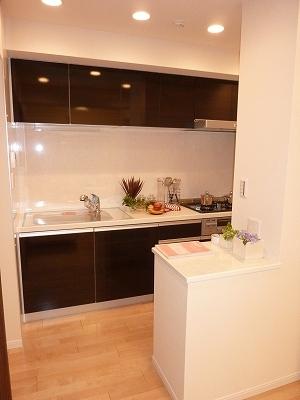 Kitchen. Indoor (12 May 2013) Shooting