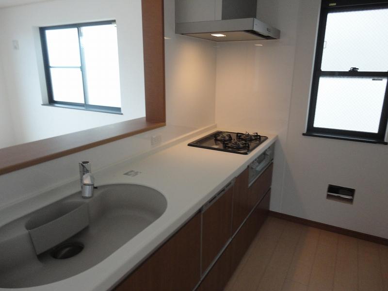 Kitchen. Popular face-to-face kitchen