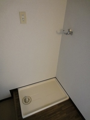 Other. Indoor Laundry Storage!