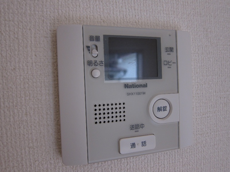 Security. Intercom with TV monitor