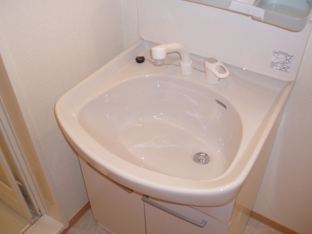 Washroom. Shampoo dresser