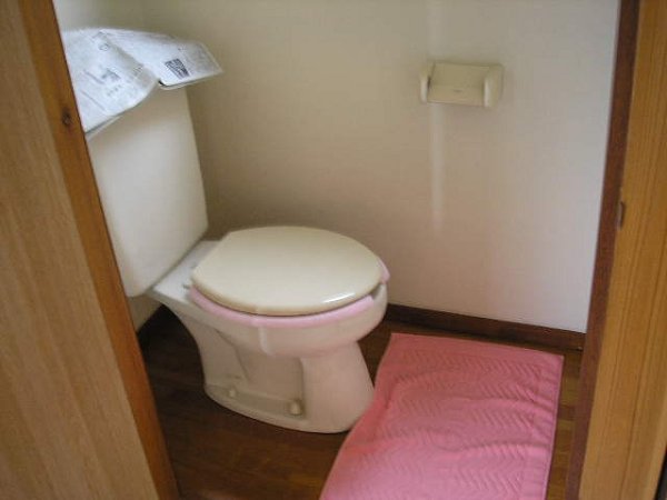 Other. Toilet