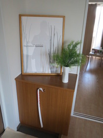 Other. Model room implementation in