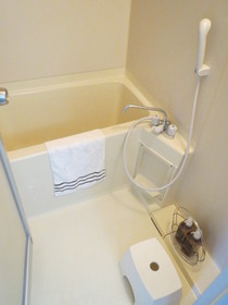 Bath. Model room implementation in