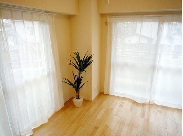 Other introspection. Western style room