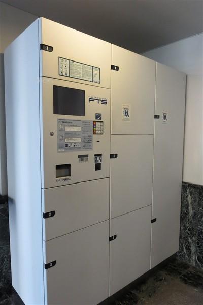 Other common areas. Convenient home delivery box with apartment