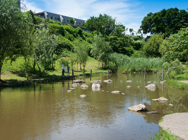 Surrounding environment. In a calm residential area, Vast forest that appears unexpectedly. It was built on the theme of 'contact with nature' "Akabane nature park" (W: about 580m ・ 8 min. Walk / E: about 470m ・ 6-minute walk). The rest is untouched nature in the park of about 5.4ha, Spot that children can greatly demonstrate the spirit of adventure. You brought up the natural sensibility to change the appearance in four seasons.