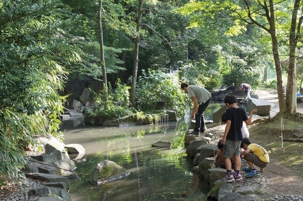  [Azusawa park] (W: about 490m ・ 7 min walk, E: about 620m ・ 8 min. Walk) large park with a baseball field, tennis courts. Indoor arena ・ With training "Azusawa gymnasium" is also the hotel's, You can receive a variety of programs