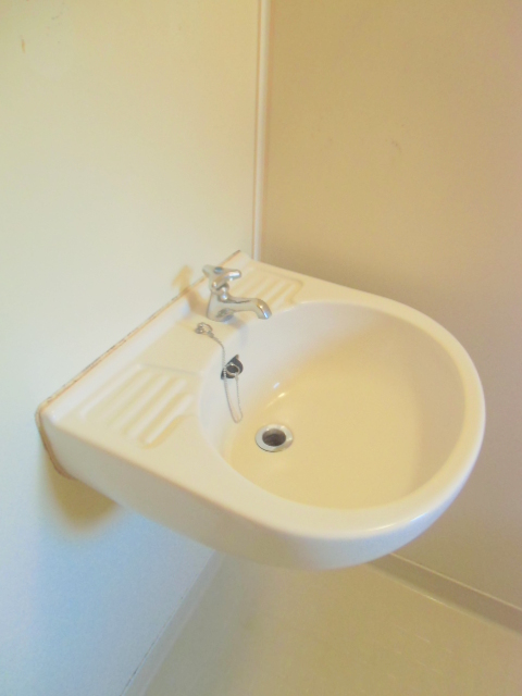 Washroom. Wash basin