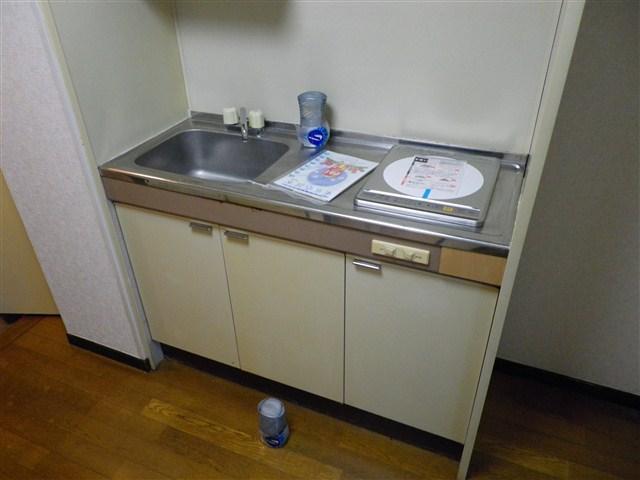 Kitchen. IH cooking heater