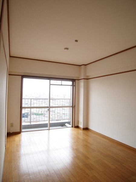 Other. Western-style 1