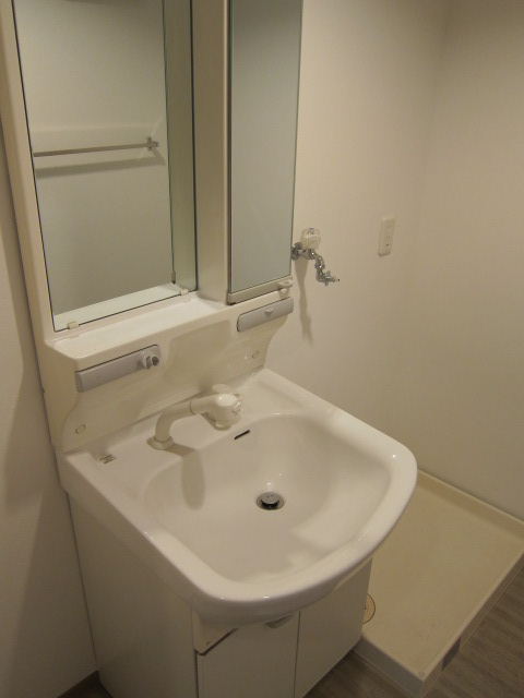 Washroom. Shampoo dresser