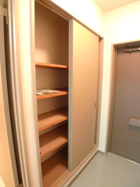 Entrance. Amount of storage of safely in a large cupboard there your family move to the front door