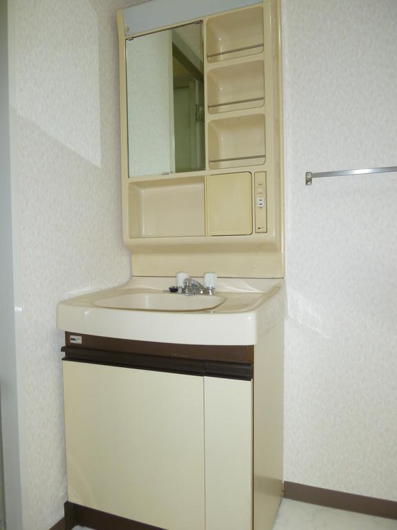 Washroom. Bathroom vanity