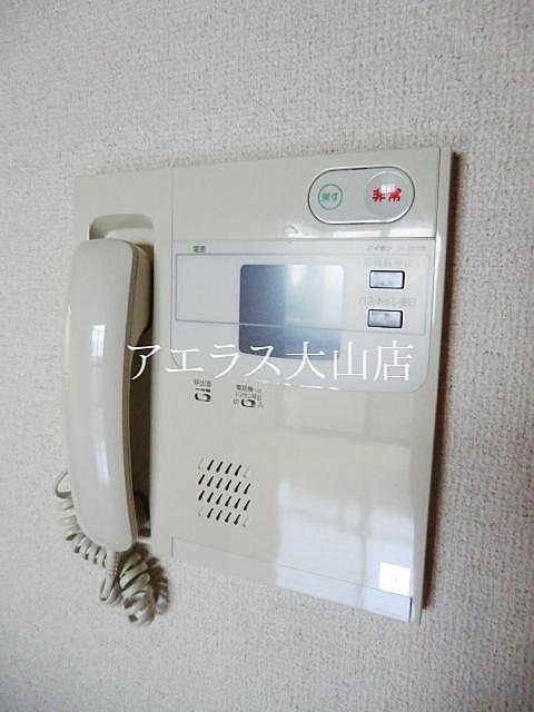Security. Intercom with TV monitor