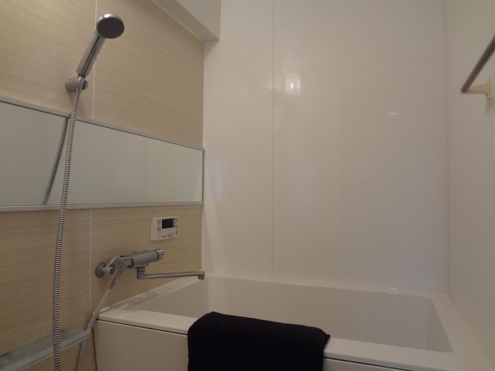 Bathroom. Indoor (11 May 2013) Shooting