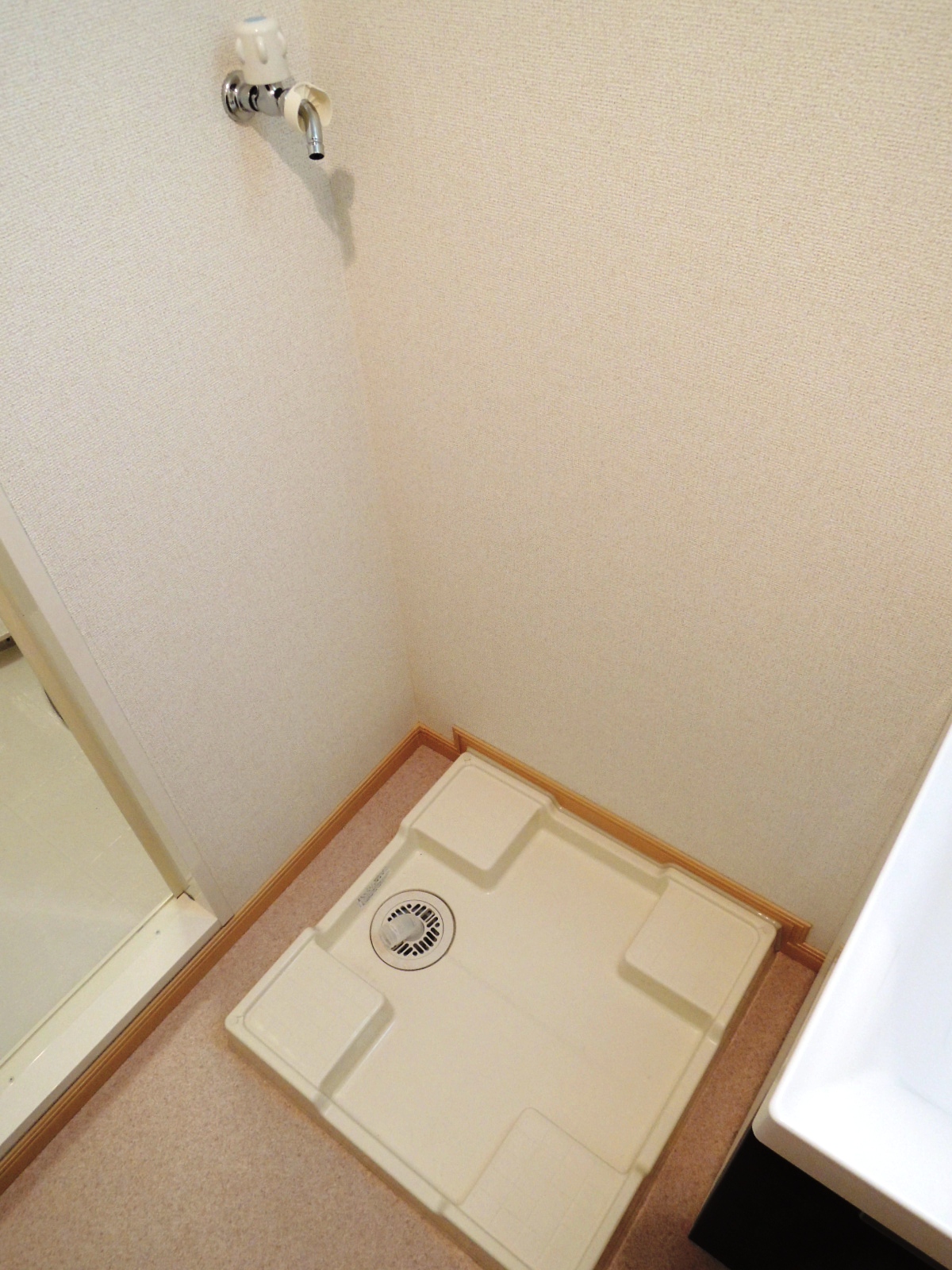 Washroom. Washing machine in the room