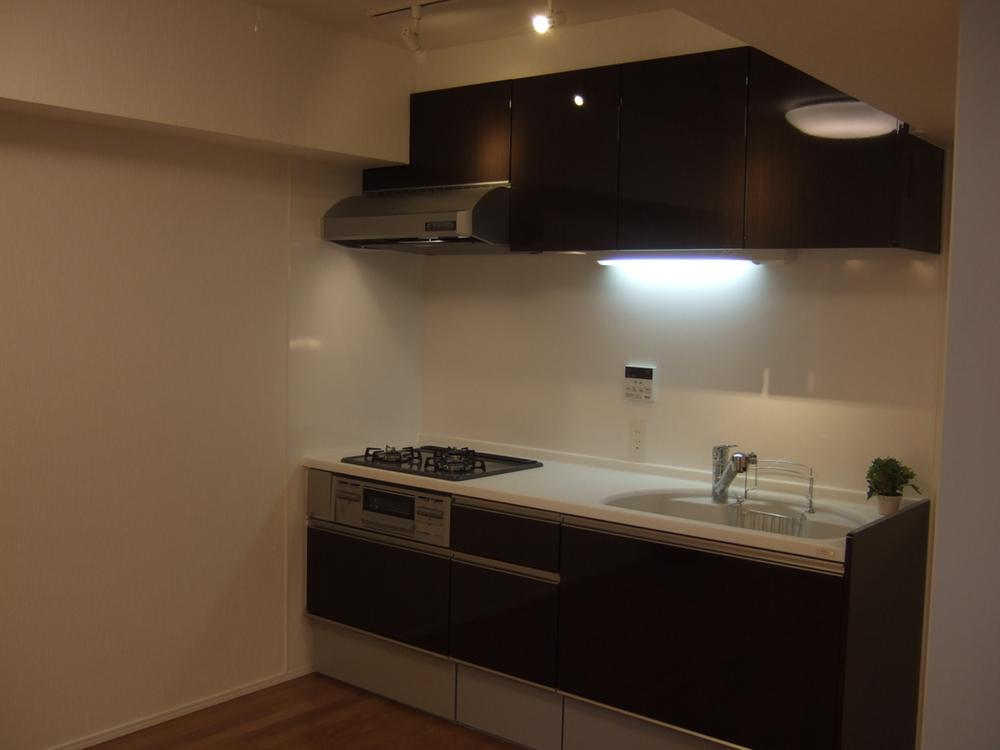 Kitchen. Indoor (12 May 2013) Shooting