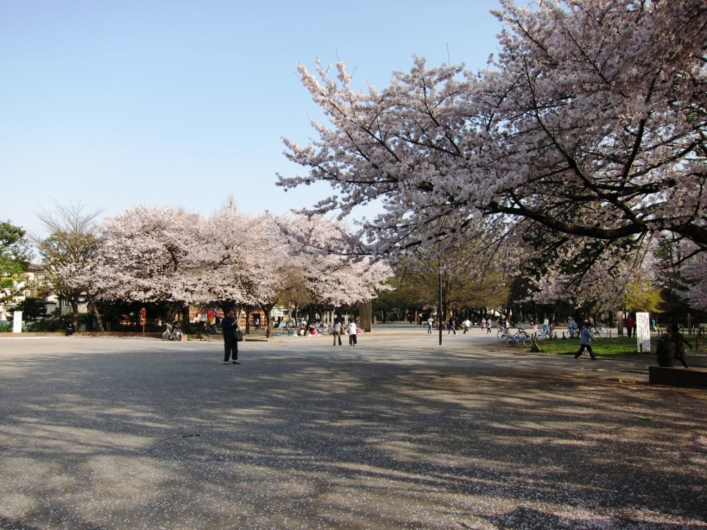 park. 274m to Peace Park (park)