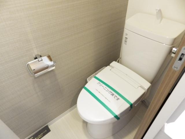 Toilet. It is with a bidet.