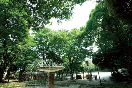 park. Otsuka 3074m to the park (park)