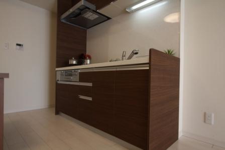 Kitchen. Indoor (11 May 2013) Shooting