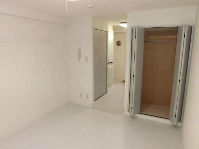 Living and room. Washing machine Storage