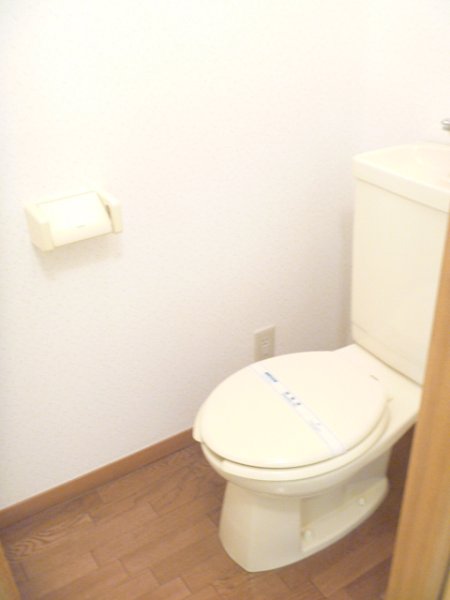 Other. Toilet