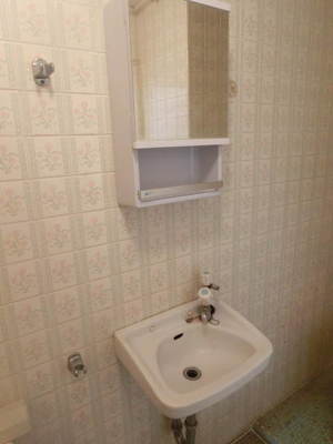 Washroom. Wash basin