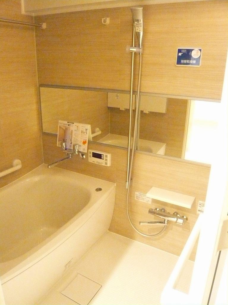 Bathroom. Indoor (11 May 2013) Shooting