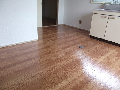 Living and room. Living