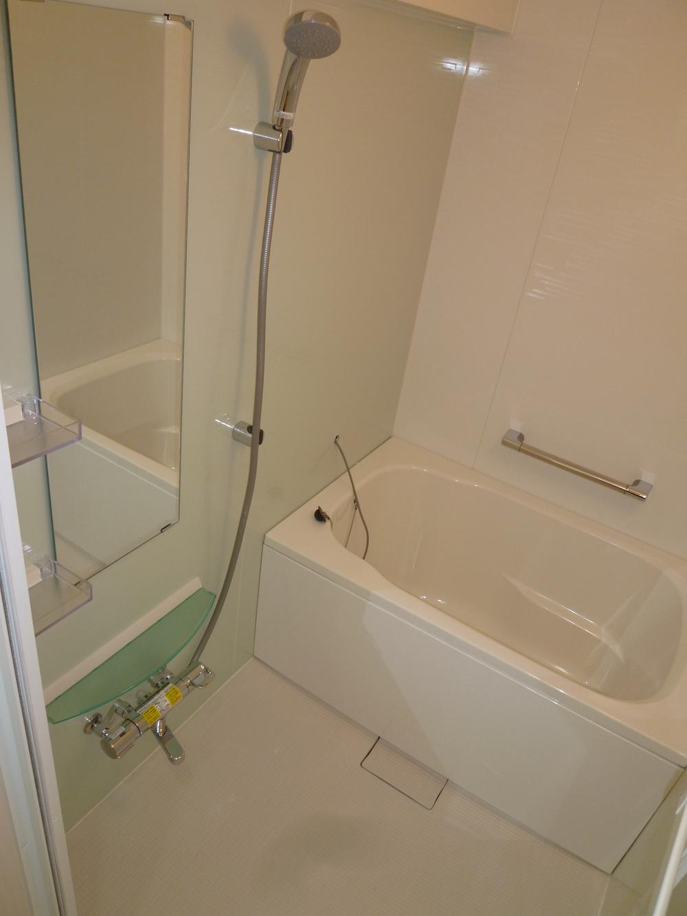 Bathroom. In refreshing impression bathroom, Panel is accented.