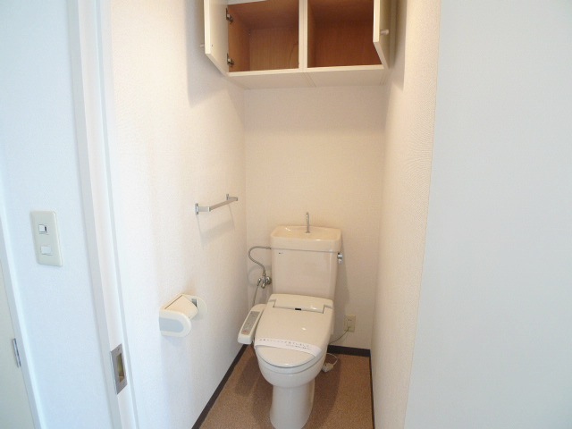 Toilet. Since the shelf to the toilet top equipment is housed in this!