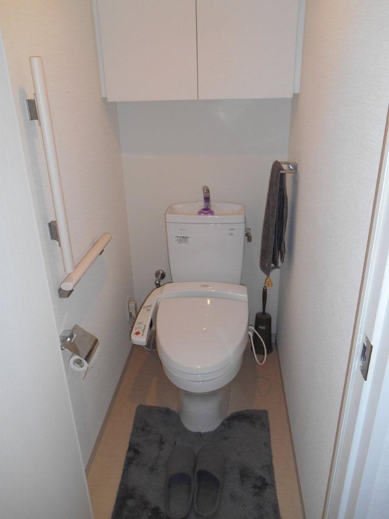 Toilet. Indoor (12 May 2013) Shooting