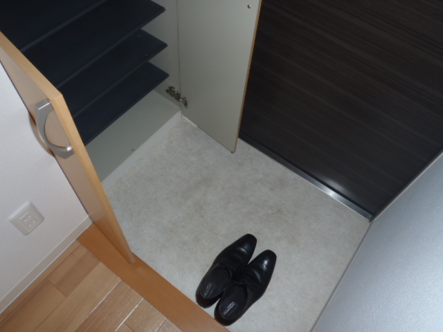 Entrance. Entrance of the room