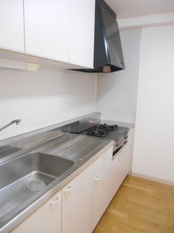 Kitchen. Independent type of kitchen