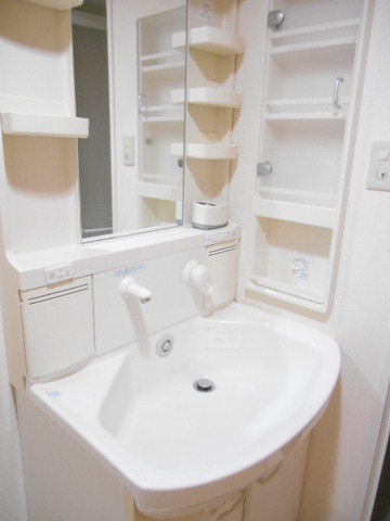 Washroom. Bathroom vanity