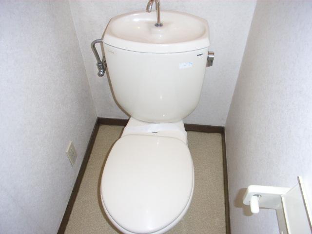 Toilet. Western-style toilet